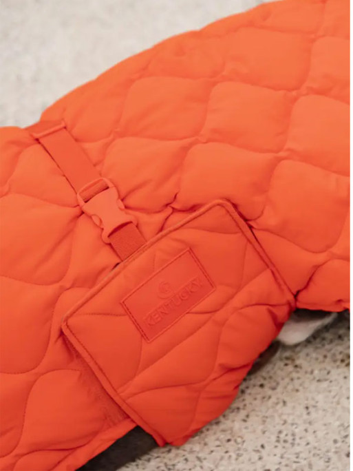 Manteau d'hiver pour chien Pina Kentucky