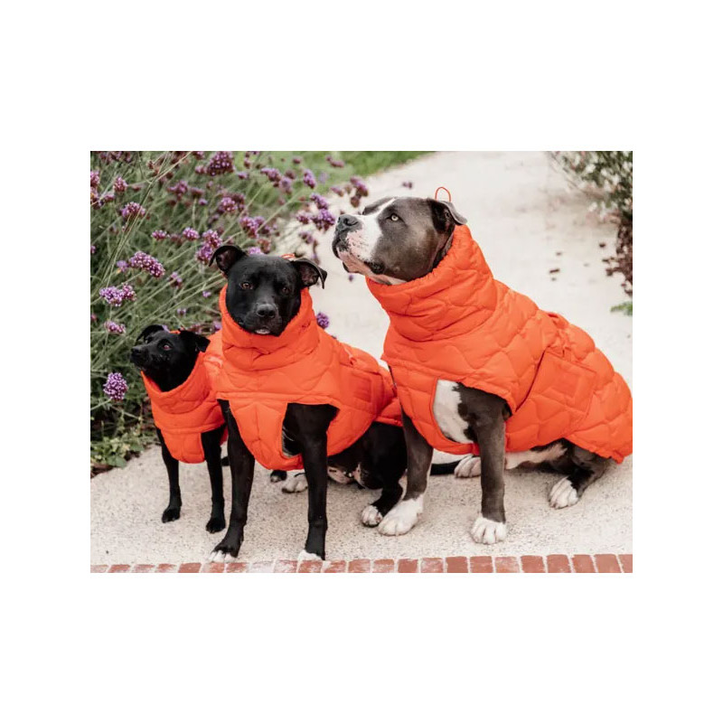 Manteau d'hiver pour chien Pina Kentucky