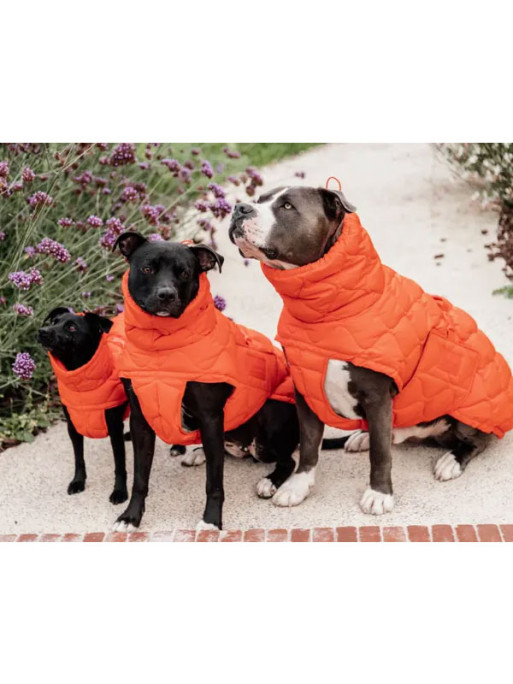 Manteau d'hiver pour chien Pina Kentucky