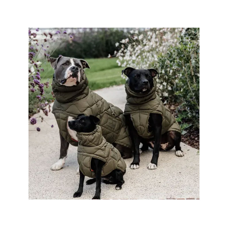 Manteau d'hiver pour chien Pina Kentucky Manteau d'hiver pour chien Pina Kentucky