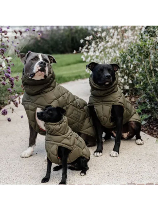 Manteau d'hiver pour chien Pina Kentucky Manteau d'hiver pour chien Pina Kentucky