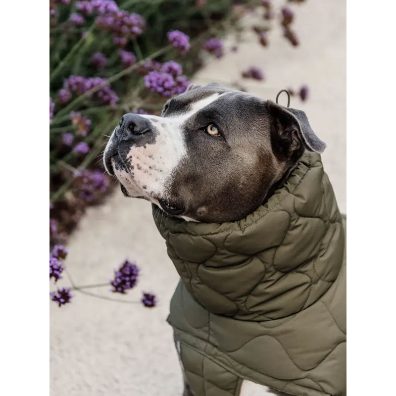 Manteau d'hiver pour chien Pina Kentucky Manteau d'hiver pour chien Pina Kentucky