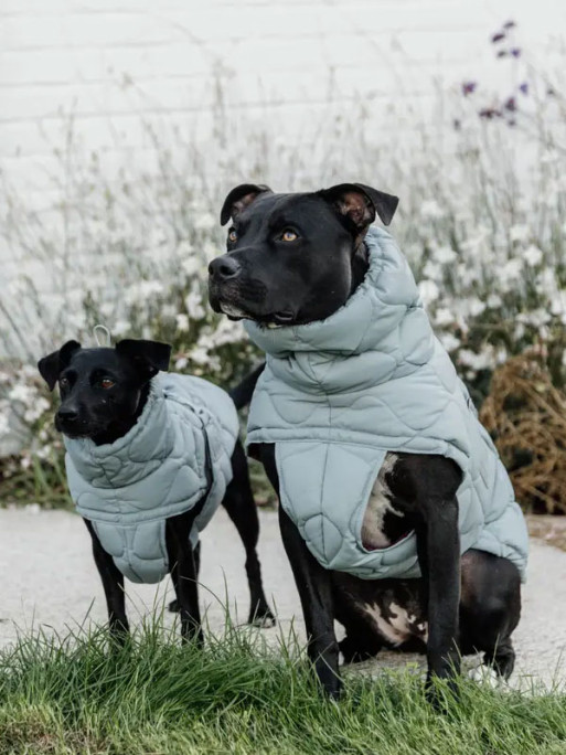 Manteau d'hiver pour chien Pina Kentucky