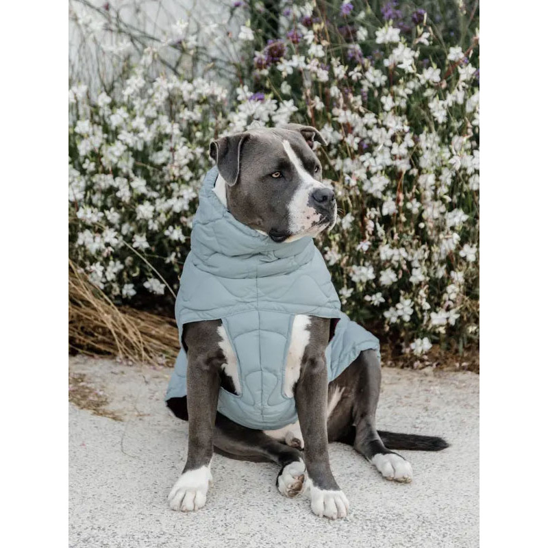 Manteau d'hiver pour chien Pina Kentucky