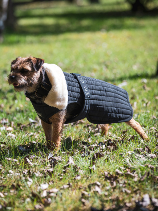 Couverture pour chien GEM