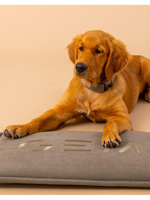 Tapis nomade pour chien 40x60 GEM Tapis nomade pour chien 40x60 GEM