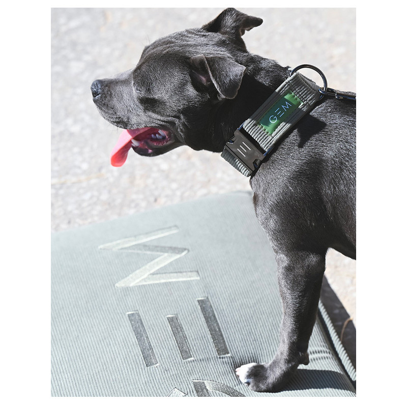 Tapis nomade pour chien 60x80 GEM