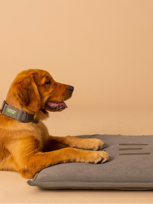 Tapis nomade pour chien 60x80 GEM Tapis nomade pour chien 60x80 GEM