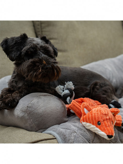 Peluche avec corde renard Nobby