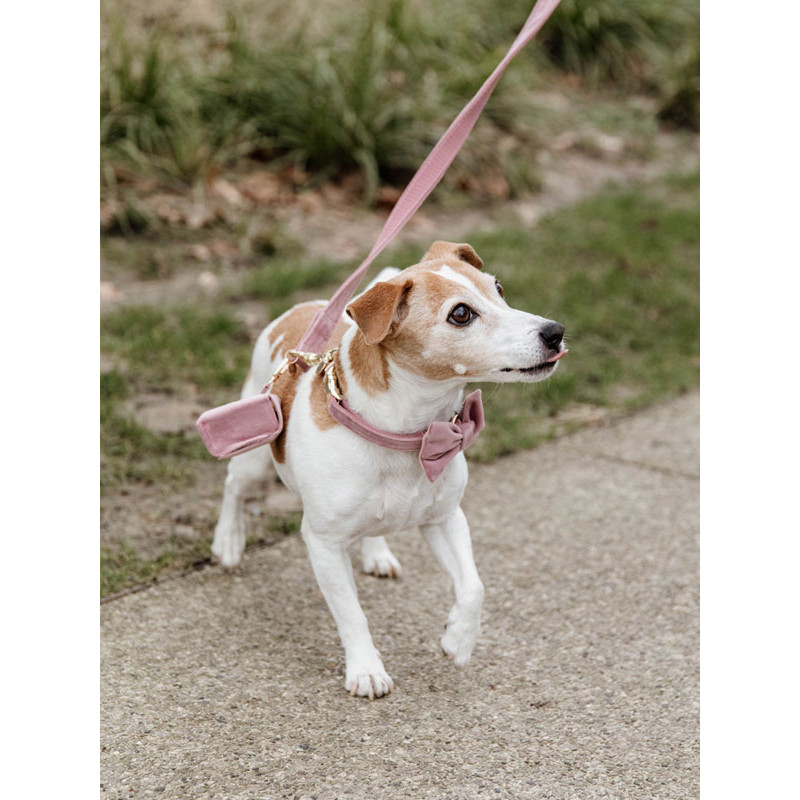 Noeud papillon velvet Kentucky