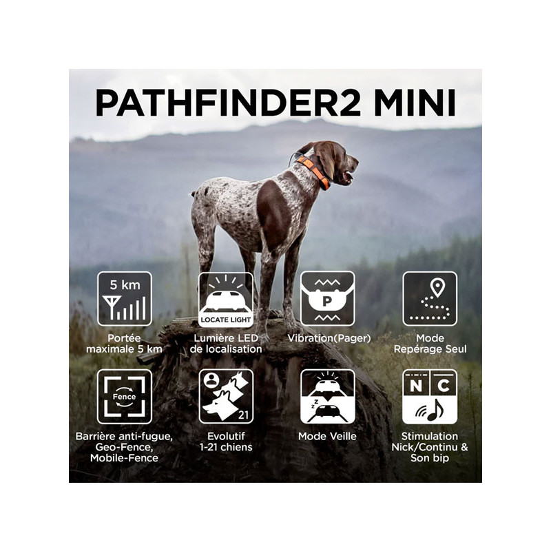 Kit de repérage et de dressage Pathfinder 2 Mini Dogtra
