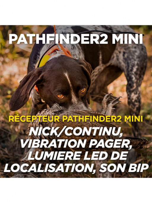 Kit de repérage et de dressage Pathfinder 2 Mini Dogtra