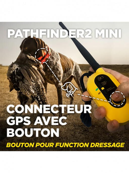 Kit de repérage et de dressage Pathfinder 2 Mini Dogtra