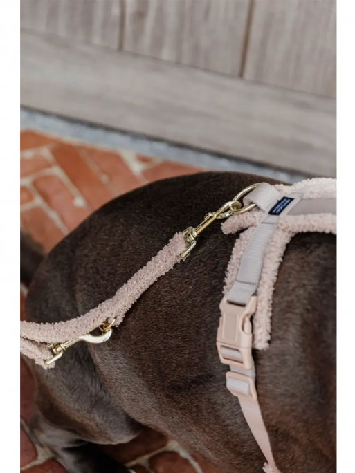 Laisse pour chien Teddy Fleece Small 2m Kentucky