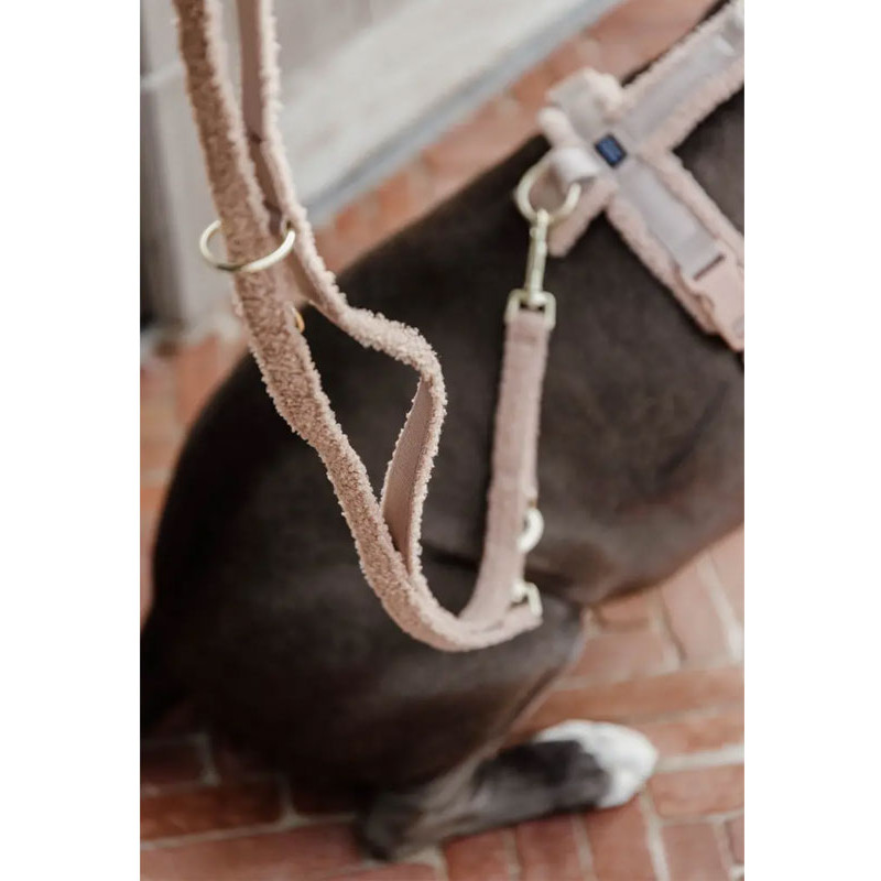 Laisse pour chien Teddy Fleece Small 2m Kentucky