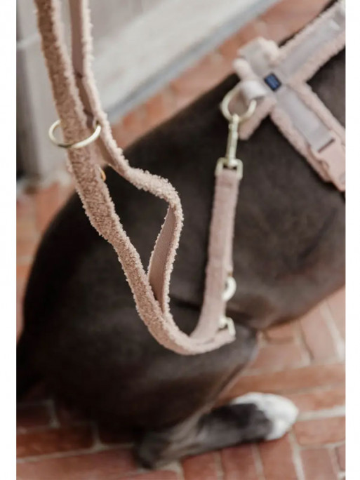 Laisse pour chien Teddy Fleece Small 2m Kentucky