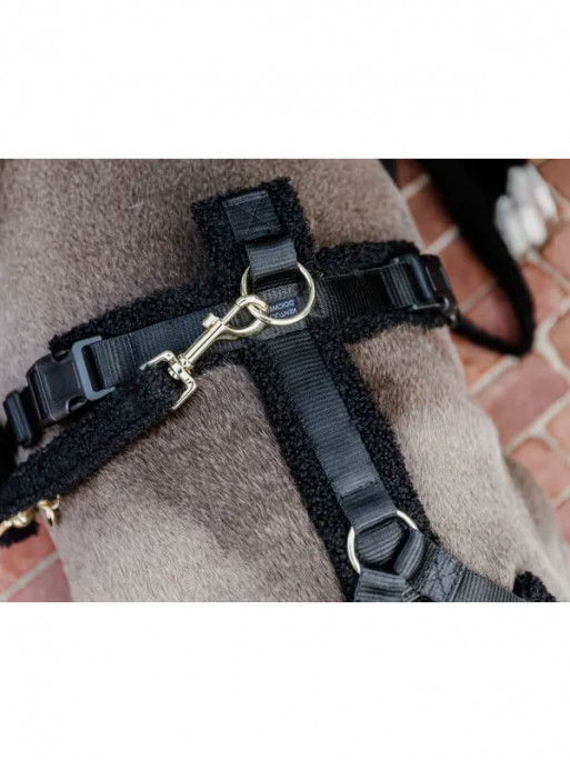 Laisse pour chien Teddy Fleece Small 2m Kentucky Laisse pour chien Teddy Fleece Small 2m Kentucky