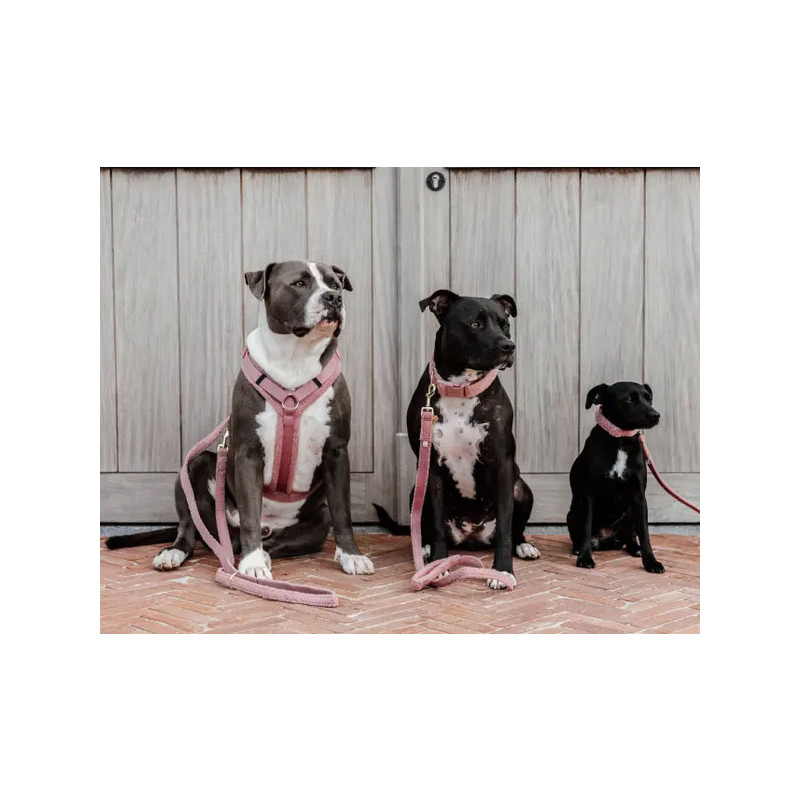 Harnais pour chien Active Teddy Fleece Kentucky