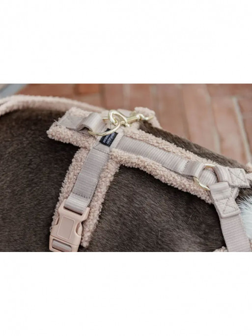 Harnais pour chien Active Teddy Fleece Kentucky Harnais pour chien Active Teddy Fleece Kentucky