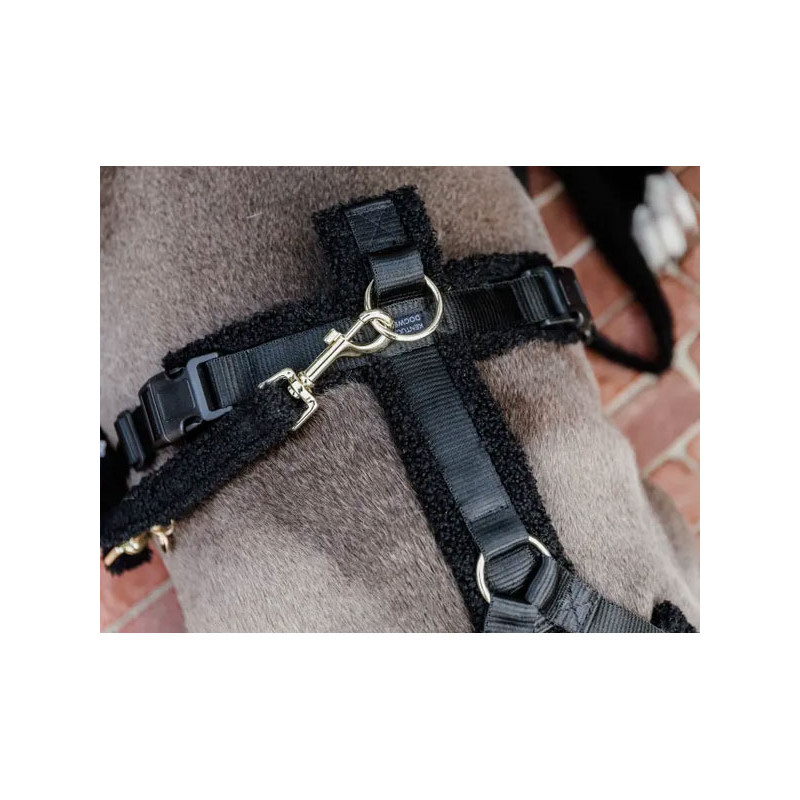 Laisse pour chien Teddy Fleece Small 120cm Kentucky