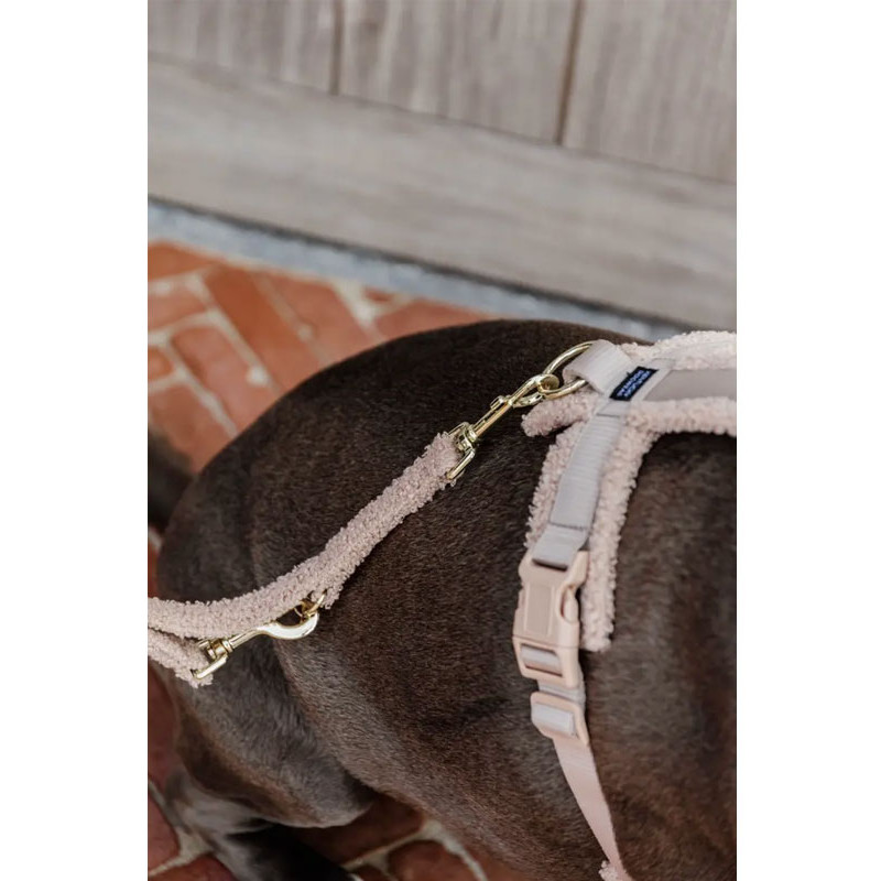 Laisse pour chien Teddy Fleece Large 120cm Kentucky