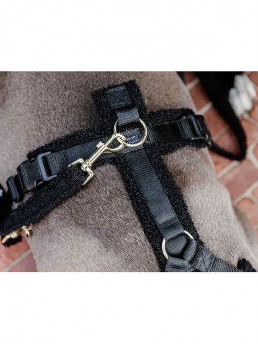 Laisse pour chien Teddy Fleece Large 120cm Kentucky