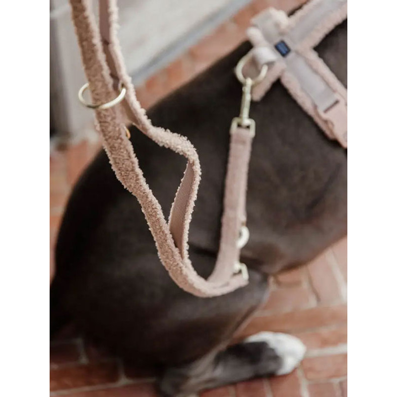 Laisse pour chien Teddy Fleece Small 120cm Kentucky