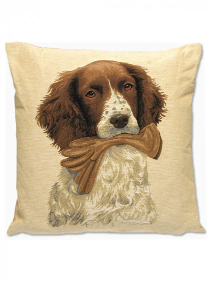 Coussin chien et gants...