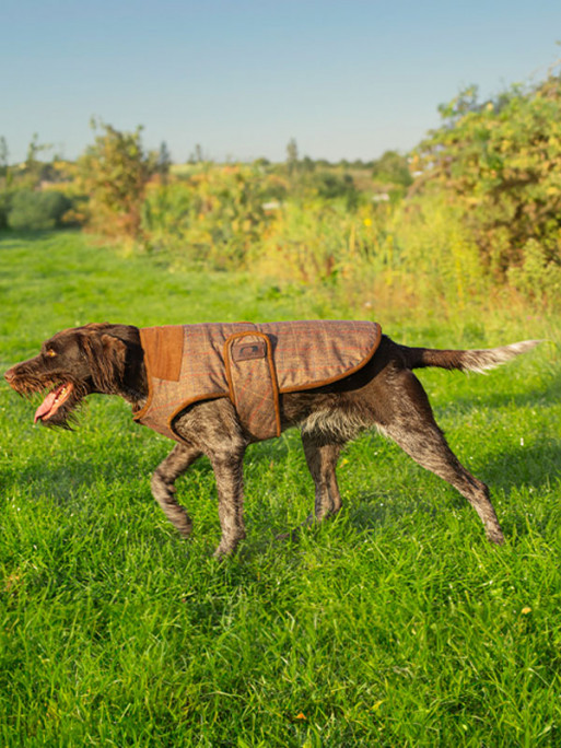 Couverture pour chien en tweed Bobby Baleno