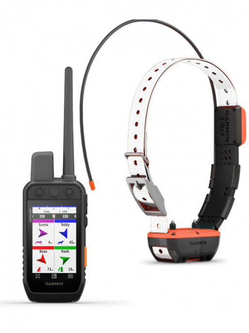 Pack repérage et dressage Alpha 200 et TT25™ Garmin