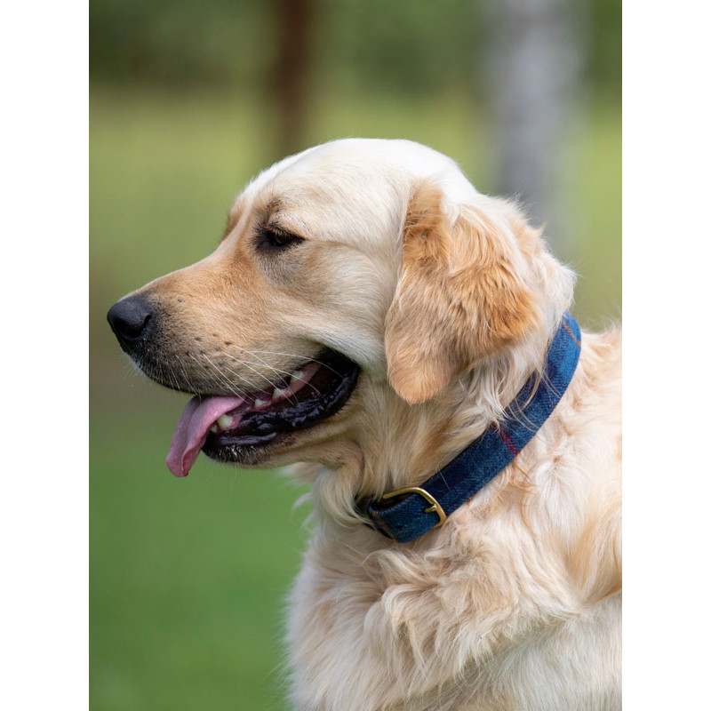 Collier pour chien Digby & Fox Tweed