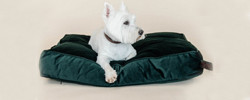 Matelas