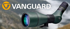 Vanguard