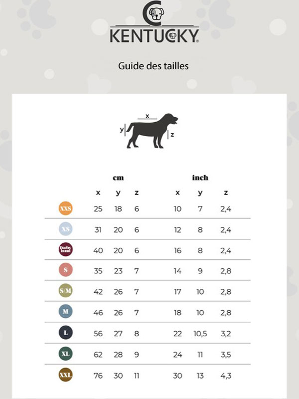 guide des tailles chien kentucky