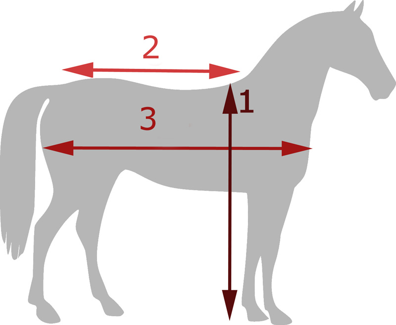 Mesurer son cheval pour la taille de couverture