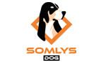 Somlys Dog