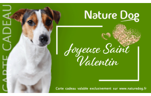 
			                        			Saint Valentin Nature Dog