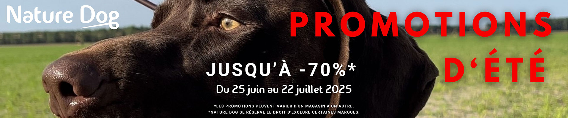slide76